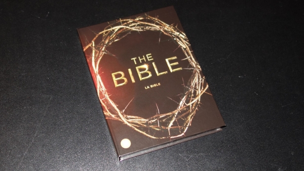 Tv-serie op Dvd: The Bible