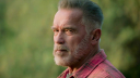 Netflix strikt Arnold Schwarzenegger als nieuwe CAO voor grootse productie