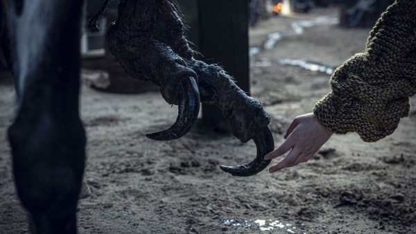 Netflix geeft nieuwe foto's 'The Witcher' prijs