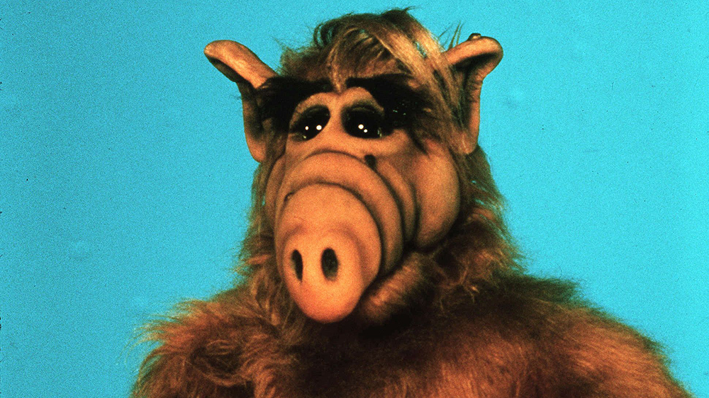 ALF Movie in the Works | Alf, 80 tv shows, Old tv shows