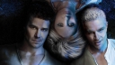 'Buffy the Vampire Slayer' krijgt trap na van ster Sarah Michelle Gellar