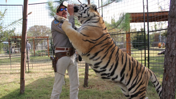 Er komt meer 'Tiger King' op Netflix!

