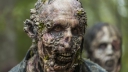Gaan de zombies in 'The Walking Dead' uiteindelijk dood?