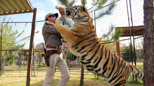 Knotsgekke plottwist 'Tiger King'