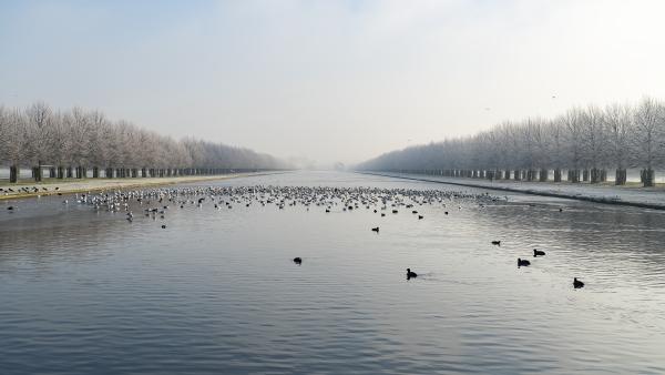 Na een brute wachttijd van 20 maanden gaat een van de meest populaire Netflix-series eindelijk weer verder; en hoe!