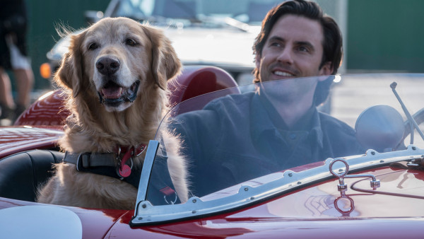 Dino-film uit 2025 scoort beter dan meerdere 'Jurassic Park'-films, vergeten "tranentrekker" op Netflix en een van meest ondergewaardeerde scifi-films van laatste 10 jaar