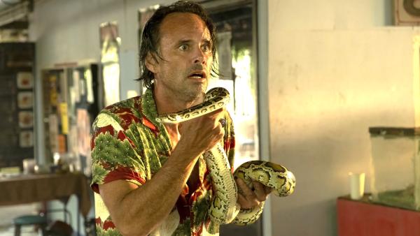 Na het succes van eerdere seizoenen trekt ‘The White Lotus’ weer grote namen aan