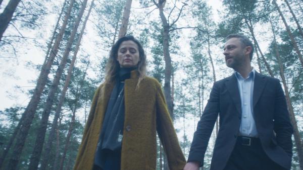 Dit is het echte verhaal achter deze bekende jaarlijkse Netflix-traditie