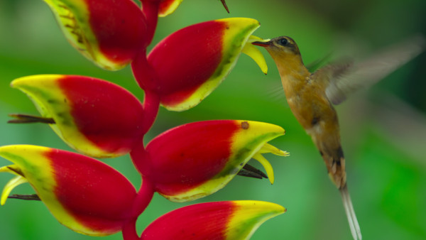 'Our Living World': een oproep tot gezamenlijke actie 'Our Living World': een oproep tot gezamenlijke actie