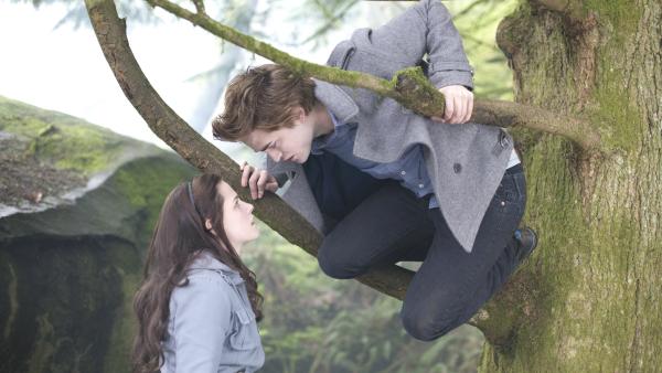 'Twilight'-animatieserie van Netflix krijgt na twee jaar eindelijk belangrijke update