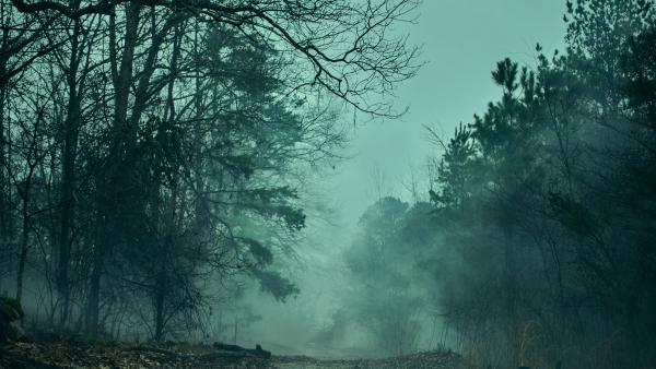 Het begin van het einde voor de allergrootste Netflix-serie ooit gemaakt, over 20 dagen is het zover