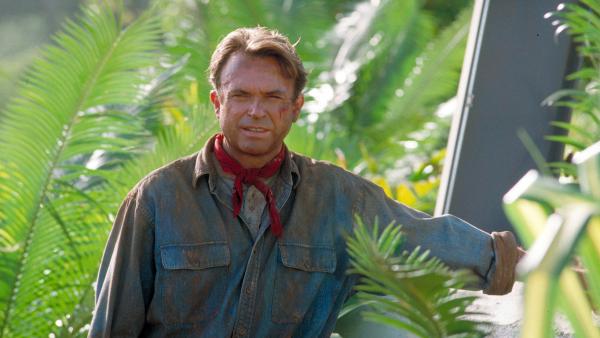 Doek lijkt te vallen voor Warner Bros., dé Netflix-film die je in oktober moet zien en 4 dingen in 'Jurassic Park' die nu nog steeds nergens op slaan