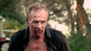 Waarom Merle dood moest in 'The Walking Dead'
