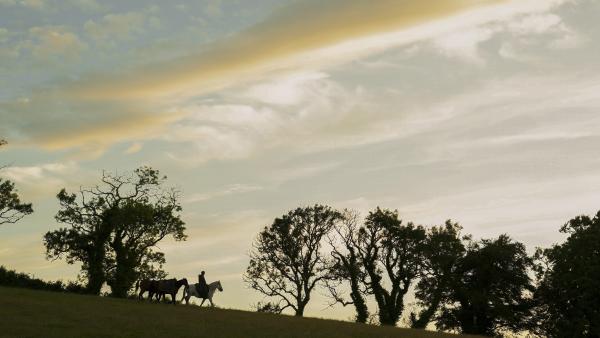 Maandag is het eindelijk zover! 'Game of Thrones', de best bekeken serie ooit gemaakt krijgt een vervolg op HBO Max