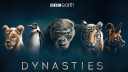 Blu-ray review prachtige natuurserie 'Dynasties'