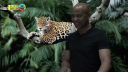 Humberto Tan op zoek naar de waarheid achter illegale jaguarjacht in Videoland Original