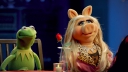Na cancellen Looney Tunes-personage willen mensen nu ook deze Muppet laten verdwijnen Na cancellen Looney Tunes-personage willen mensen nu ook deze Muppet laten verdwijnen