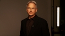 'NCIS'- acteur Mark Harmon maakt serie over Navy Seals