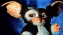 De legendarische film 'Gremlins' krijgt een serie!