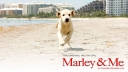 Tv-serie 'Marley & Me' in ontwikkeling