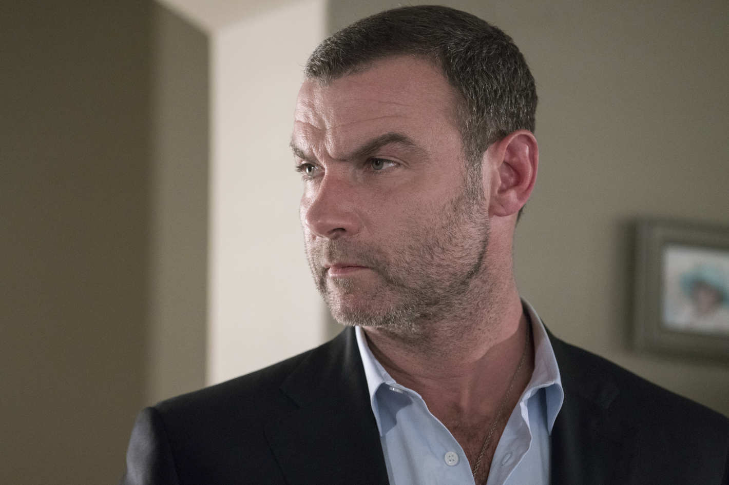 ray donovan ray donovan