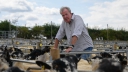 Jeremy Clarkson heeft slecht nieuws voor fans van 'Clarkson's Farm'