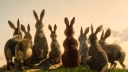 Moordlustige konijnen in trailer 'Watership Down'