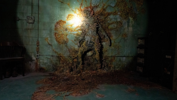 'The Last of Us'-fans in paniek: Is het volgende seizoen toch écht het laatste?!