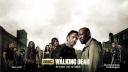 Poster 'The Walking Dead' seizoen 6
