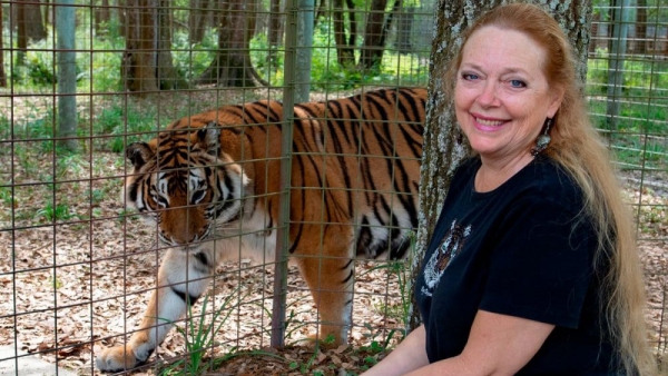 Bizar 'Tiger King'-nieuws: Carole Baskin krijgt de Zoo van Joe Exotic in handen!