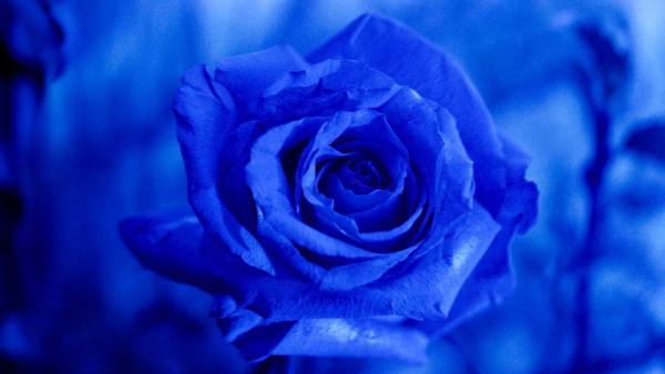 Langverwachte Marvel-serie op losse schroeven na plotse beslissing Disney+?