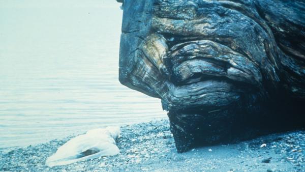 "Het tweede seizoen was gewoon slecht"; maker van 'Twin Peaks' haalt flink uit naar eigen serie