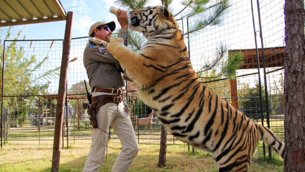 Op deze dag staat 'Tiger King 2' op Netflix