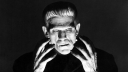 Fox bestelt dramaserie over 'Frankenstein' Fox bestelt dramaserie over 'Frankenstein'