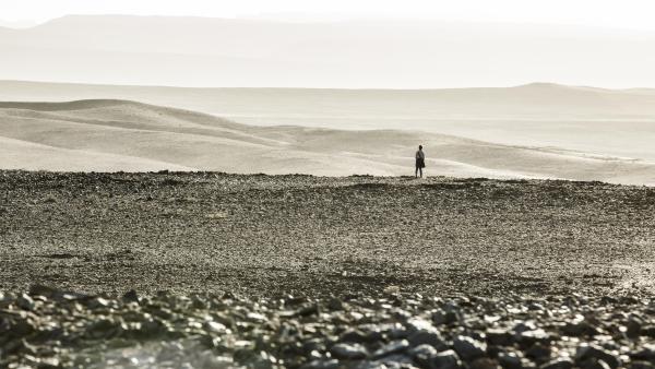 Deze grootste en epische fantasyserie gebaseerd op hét absolute meesterwerk van Stephen King gaat alles overtreffen en moet tv-geschiedenis gaan schrijven