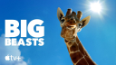 Grootse trailer voor docuserie 'Big Beasts' met 'Loki'-ster Tom Hiddleston