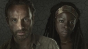 Cast over Michonne en Rick in 'The Walking Dead'