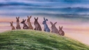 James McAvoy en John Boyega in nieuwe animatieversie 'Watership Down'