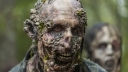 Oorzaak zombie-uitbraak 'The Walking Dead' bekend?